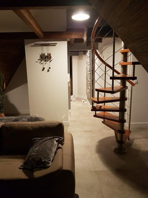 Apartament Palisander Kościelisko Zewnętrze zdjęcie