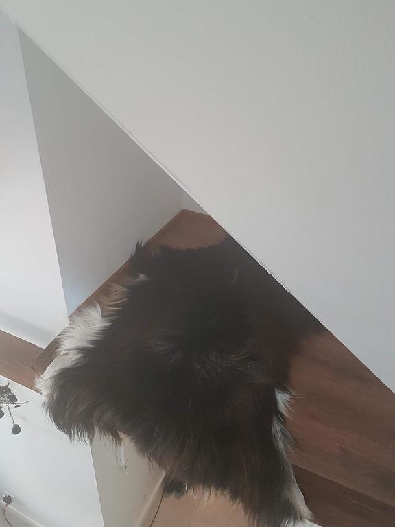 Apartament Palisander Kościelisko Zewnętrze zdjęcie
