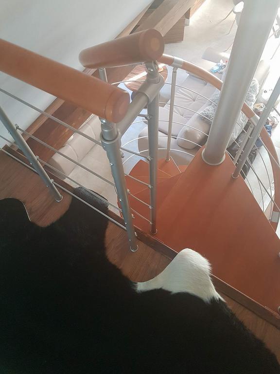 Apartament Palisander Kościelisko Zewnętrze zdjęcie