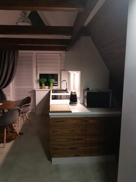 Apartament Palisander Kościelisko Zewnętrze zdjęcie