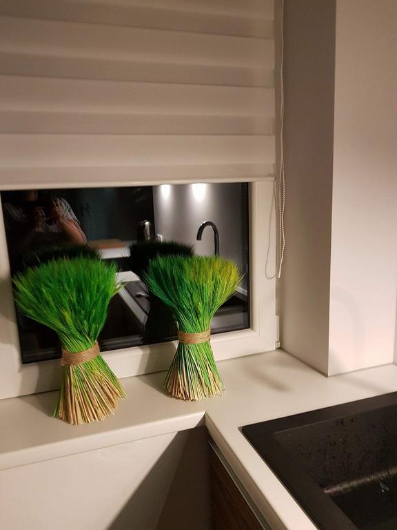 Apartament Palisander Kościelisko Zewnętrze zdjęcie