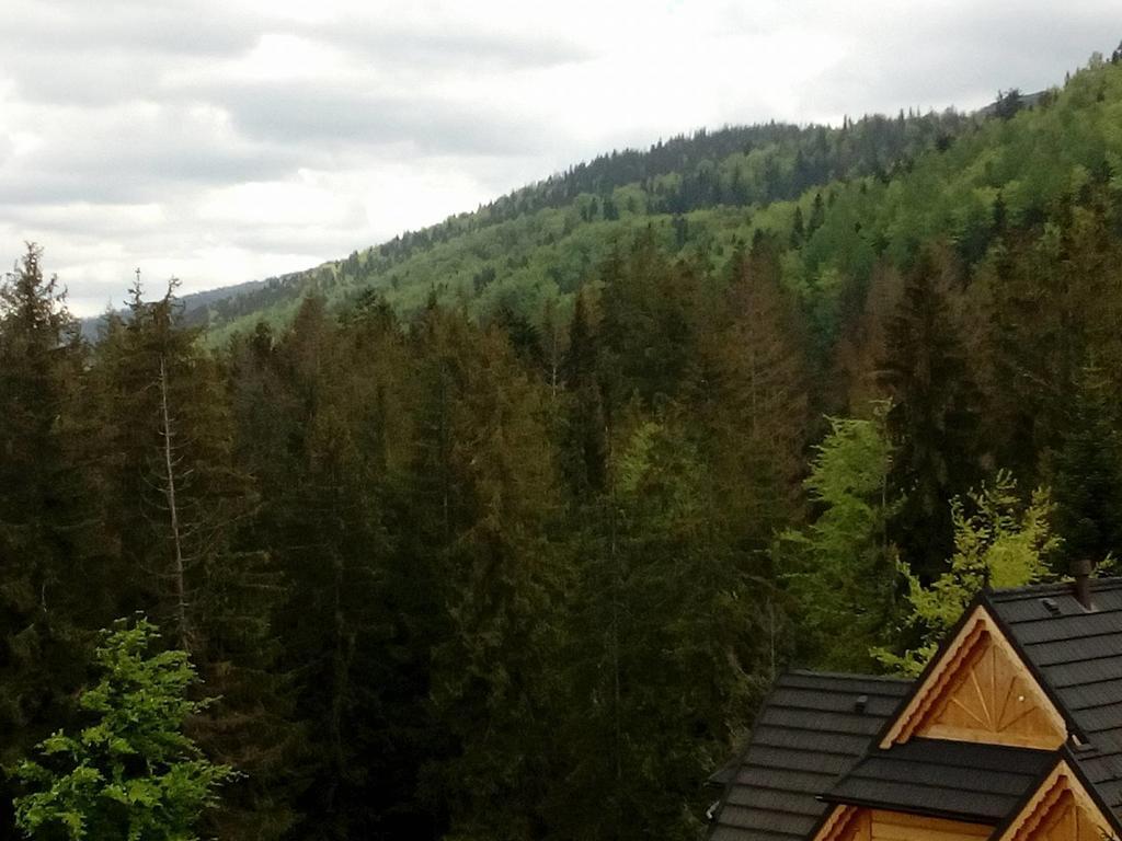 Apartament Palisander Kościelisko Zewnętrze zdjęcie