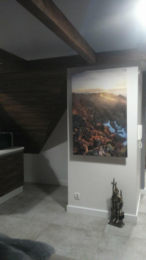 Apartament Palisander Kościelisko Zewnętrze zdjęcie
