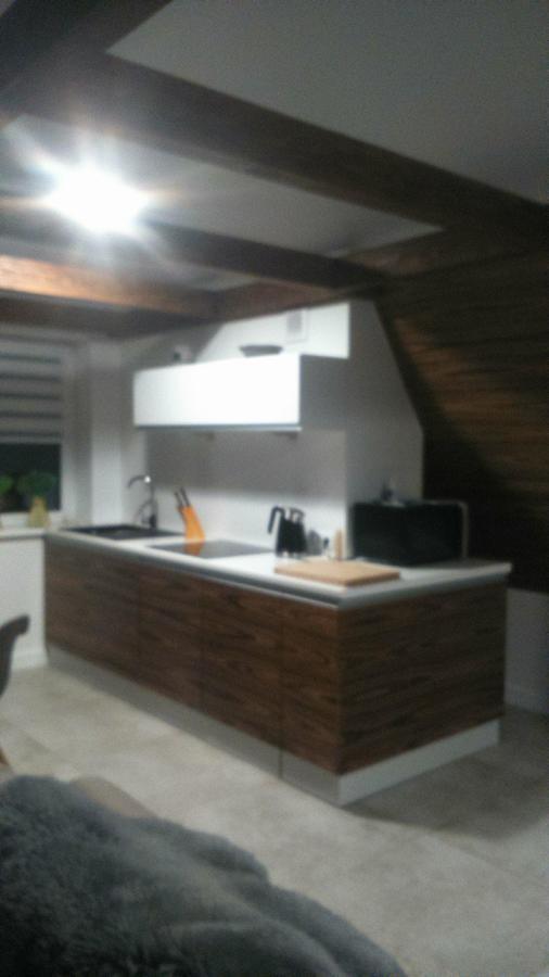Apartament Palisander Kościelisko Zewnętrze zdjęcie