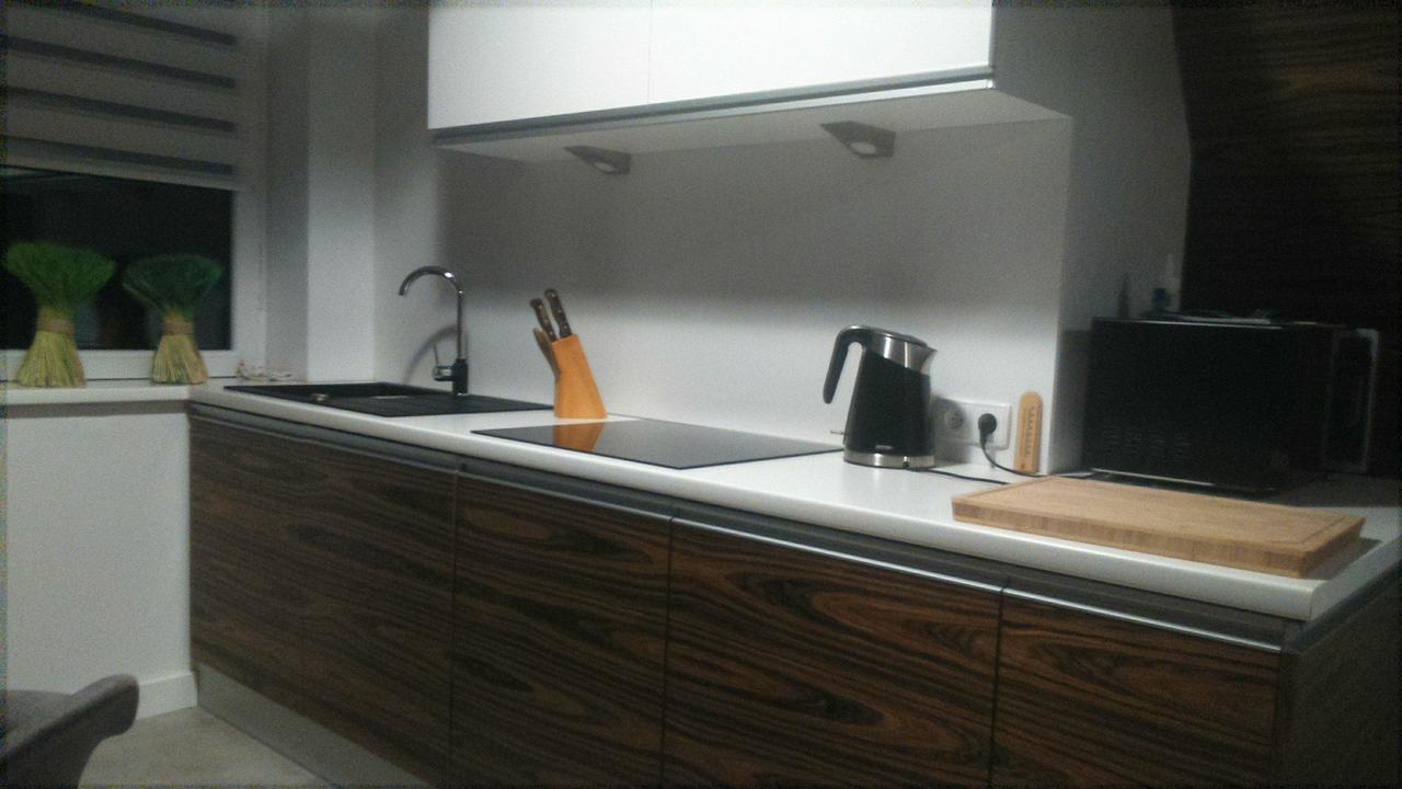 Apartament Palisander Kościelisko Zewnętrze zdjęcie